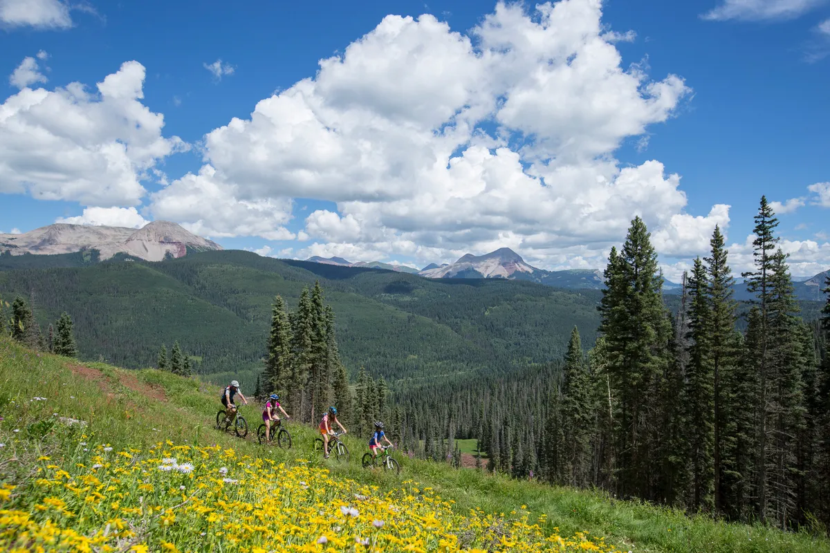 A breathtaking panoramic view of a mountain range dotted with wildflowers and dense forests. In the foreground, several bicyclists are captured mid-ride, highlighting the area's popularity for mountain biking and hiking adventures. The vivid natural scenery and active outdoor lifestyle are front and center.